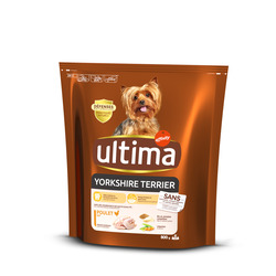 Ultima Mini Yorshire Terrier 8